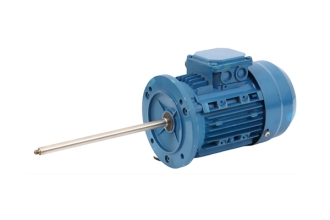 不銹鋼長軸電機(jī)